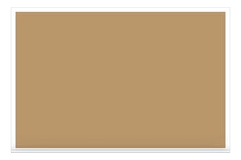 Front Image of Board Bulletin ASI NaturalCork 9300