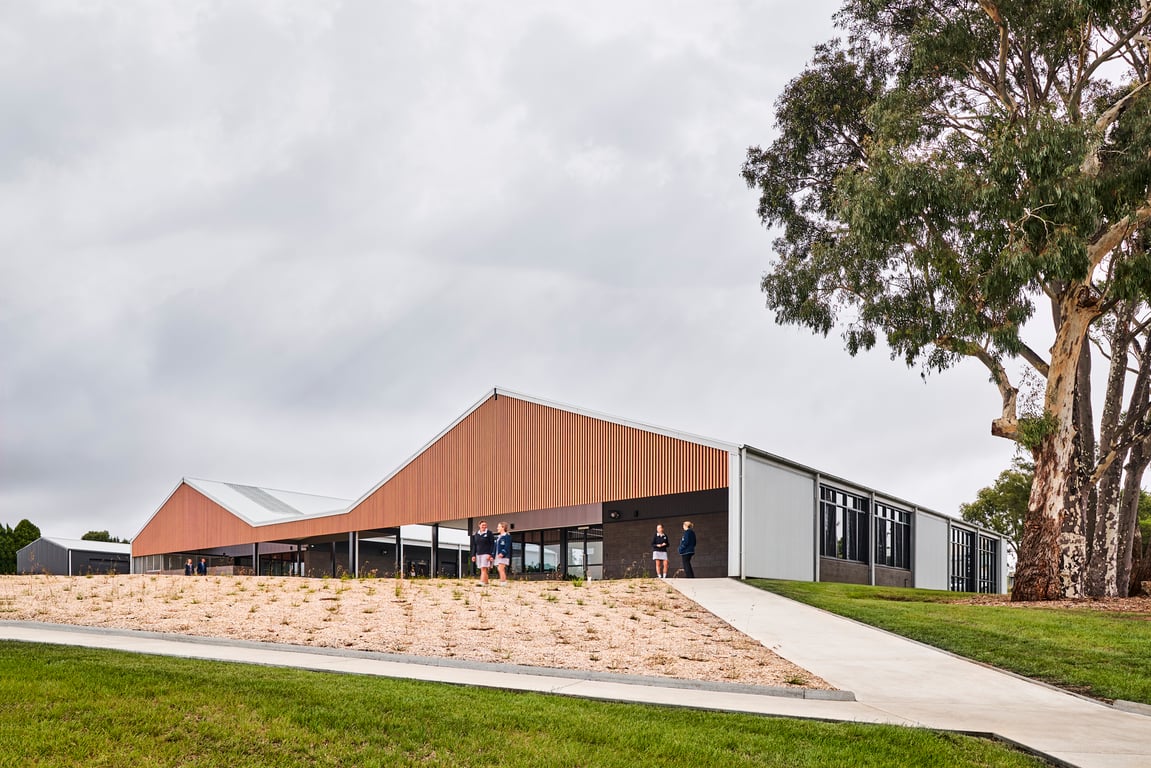 AliWood - Battens - 50mm Battens