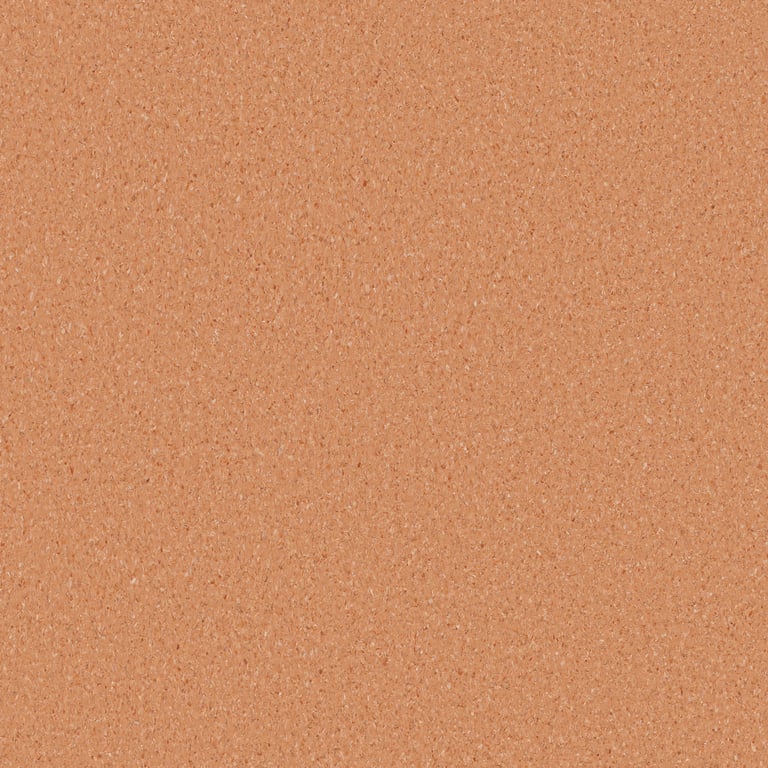 Image of Vinyl FloorSheet ArmstrongFlooring AccoladePlus Windorah 5A504151