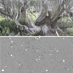 Natralis_Alpine Gum.jpg Image of Vinyl FloorSheet ArmstrongFlooring Natralis AlpineGum 5R502231