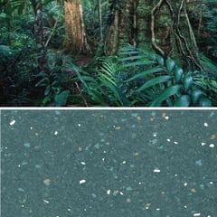 Natralis_Daintree.jpg Image of Vinyl FloorSheet ArmstrongFlooring Natralis Daintree 5R502261