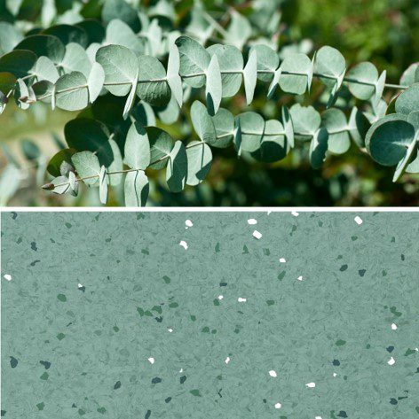 Natralis_Eucalyptus.jpg Image of Vinyl FloorSheet ArmstrongFlooring Natralis Eucalyptus 5R502321