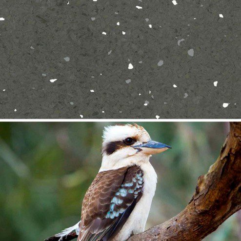 Natralis_Kookaburra.jpg Image of Vinyl FloorSheet ArmstrongFlooring Natralis Kookaburra 5R502201