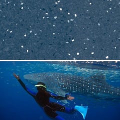 Natralis_Ningaloo.jpg Image of Vinyl FloorSheet ArmstrongFlooring Natralis Ningaloo 5R502301