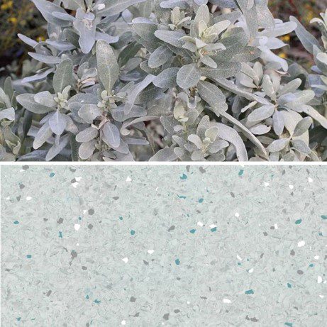 Natralis_Salt Bush.jpg Image of Vinyl FloorSheet ArmstrongFlooring Natralis Saltbush 5R502241