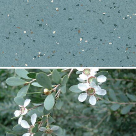 Natralis_Tea Tree.jpg Image of Vinyl FloorSheet ArmstrongFlooring Natralis TeaTree 5R502251