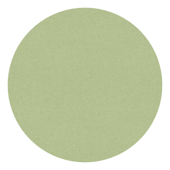 Front Image of Horizon Circle DirectFixed Autex AU