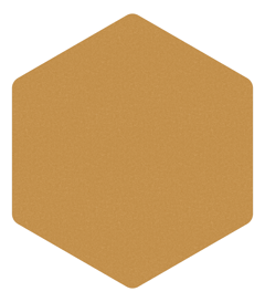 Front Image of Horizon Hexagon DirectFixed Autex AU