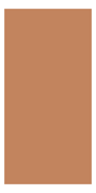 Front Image of WillieWeston RenewedGrevillea Autex AU