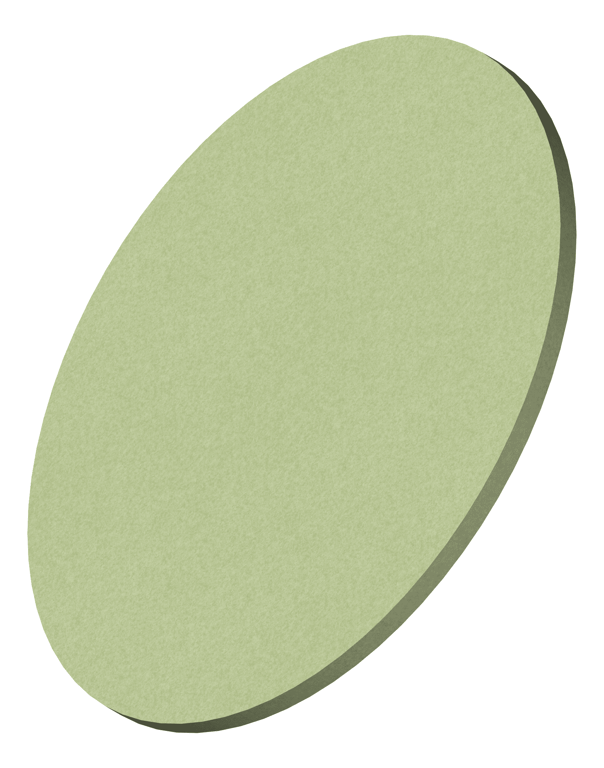 3D Presentation Image of Panel Acoustic AutexNZ Horizon Circle DirectFixed