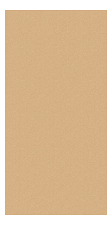 Front Image of Sordino Sanz Autex US