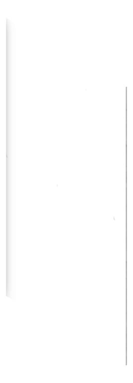 Stone Carrara Autex US