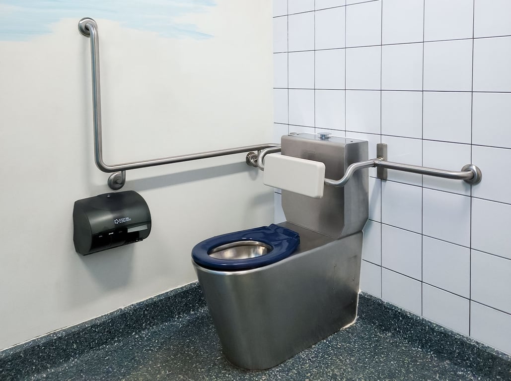 ptsd-1.jpg Image of ToiletSuite WallFaced Britex Centurion Accessible