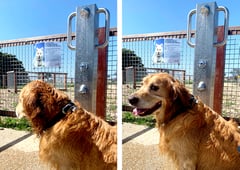 square-shower.jpg Image of Shower Column Britex Square