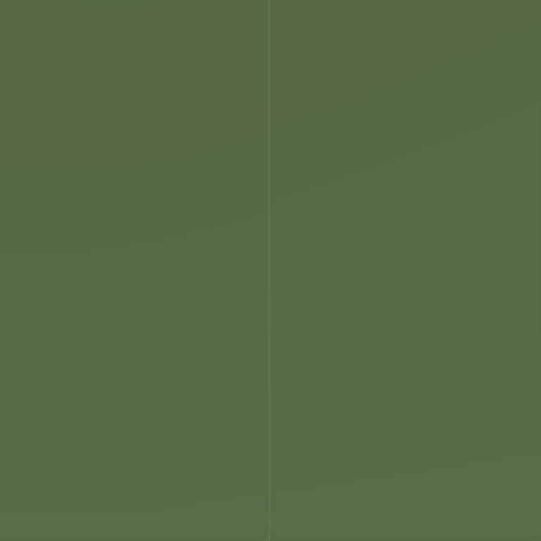 Image of Cladding Panel Cemintel Surround Vertical 3000x1200 Greenback Material