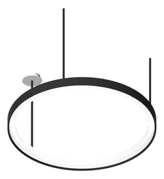 3D Presentation Image of Lighting CeilingSuspended DeanPhillips Ambient Ring One Downlight