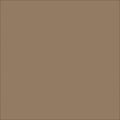  Image of Concrete Resurfacing DuluxAvista ColourOxide Chestnut