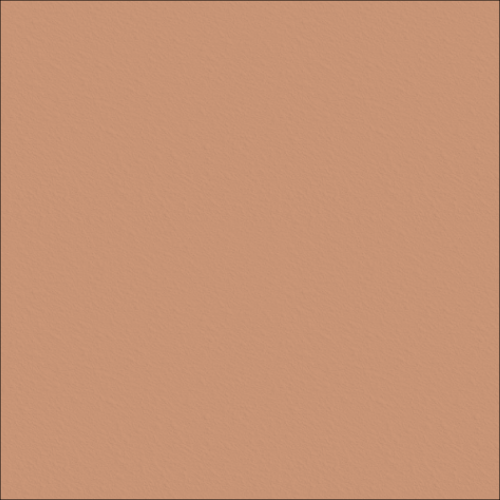 Concrete Resurfacing DuluxAvista ColourOxide Chocolate