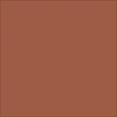  Image of Concrete Resurfacing DuluxAvista ColourOxide DarkTerracotta
