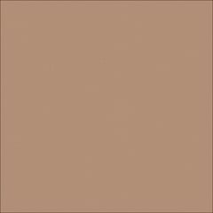  Image of Concrete Resurfacing DuluxAvista ColourOxide LightMocha