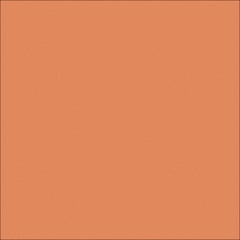 Image of Concrete Resurfacing DuluxAvista ColourOxide LightTerracotta