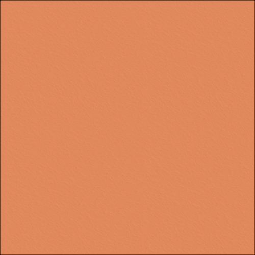 Image of Concrete Resurfacing DuluxAvista ColourOxide LightTerracotta