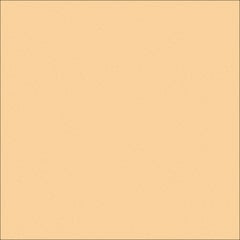 Image of Concrete Resurfacing DuluxAvista ColourOxide SandyBeige