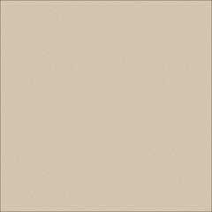 Image of Concrete Resurfacing DuluxAvista ColourOxide SilverSands