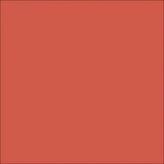  Image of Concrete Sealer DuluxAvista ColouredConcrete BrickRed