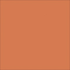  Image of Concrete Sealer DuluxAvista ColouredConcrete DarkTerracotta