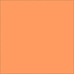  Image of Concrete Sealer DuluxAvista ColouredConcrete LightTerracotta