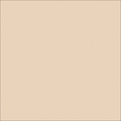  Image of Concrete Sealer DuluxAvista ColouredConcrete SilverSands