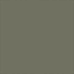  Image of Concrete Sealer DuluxAvista ColouredConcrete WoodlandGrey