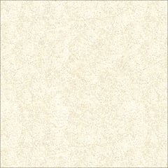  Image of Concrete InternalFlooring DuluxAvista DecorativeFlake DalmatianStone