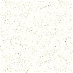  Image of Concrete InternalFlooring DuluxAvista DecorativeFlake GreyClouds