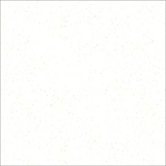  Image of Concrete InternalFlooring DuluxAvista DecorativeFlake RockyRidge