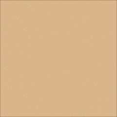  Image of Concrete Coloured DuluxAvista ColourThroughOxide CoastalStone