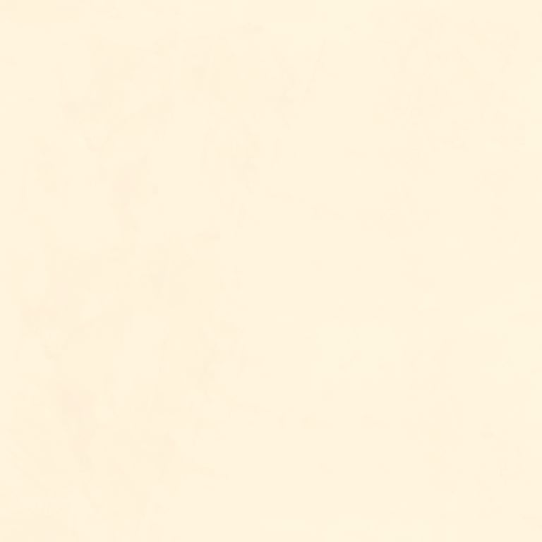 Navigate to Plaster Dulux VenetianPlaster MarmorinoFine Nelle1