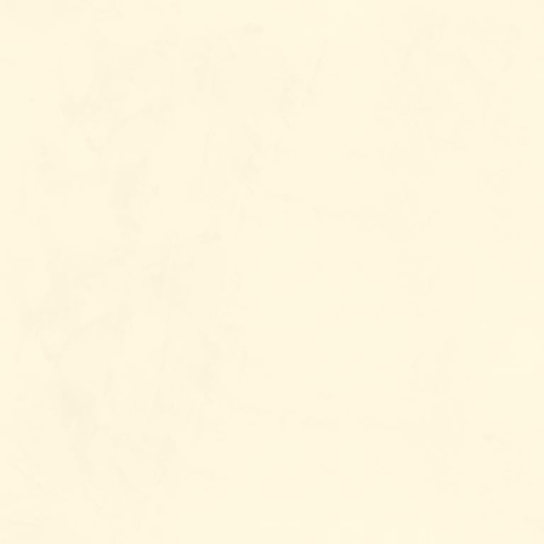 Navigate to Plaster Dulux VenetianPlaster MarmorinoFine SilverPearl1