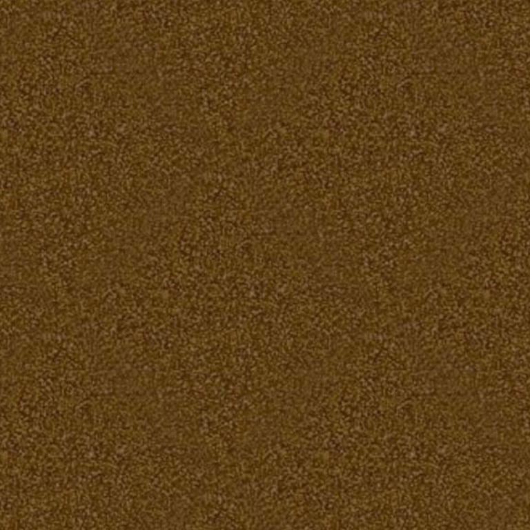  Image of ProtectiveCoating Dulux QuantumFX Affogato FX40-053