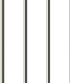  Image of Metal SheetCladding Fielders Finesse NeoRoman275 SurfmistMatt