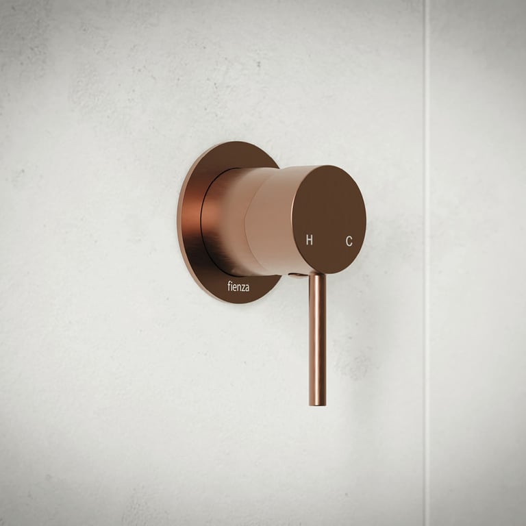 228101CO_2.jpg Image of MixerTap Shower Fienza Kaya Small