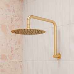 411125UB-A_2.jpg Image of Shower Wall Fienza Kaya Gooseneck