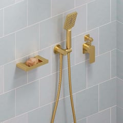 433206UB_2.jpg Image of Shower Hand Fienza Tono RoundPlate