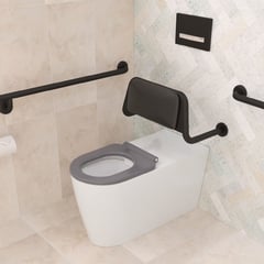Care_BackRest_200990B_Lifestyle.jpg Image of BackRest Toilet Fienza Care Cushion Plate