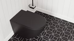 Fienza_Toilets_2.jpg Image of Fienza - Toilets