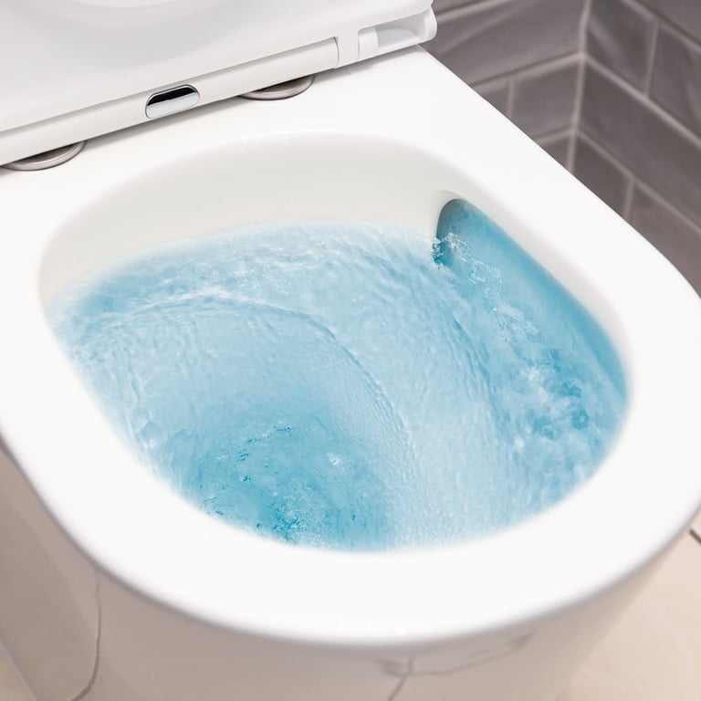 K002376MWU_3.jpg Image of ToiletPan WallHung Fienza KokoTornado
