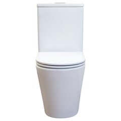 K014-2_2.jpg Image of ToiletSuite WallFaced Fienza Isabella SlimSeat