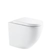 K025.jpg Image of ToiletPan WallFaced Fienza Alix Ambulant
