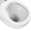 K025_4.jpg Image of ToiletPan WallFaced Fienza Alix Ambulant